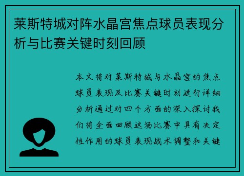 莱斯特城对阵水晶宫焦点球员表现分析与比赛关键时刻回顾