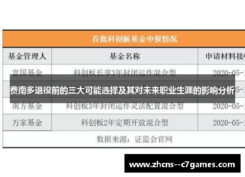 费南多退役前的三大可能选择及其对未来职业生涯的影响分析