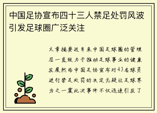 中国足协宣布四十三人禁足处罚风波引发足球圈广泛关注